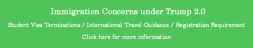 Immigration Concerns under Trump 2.0
